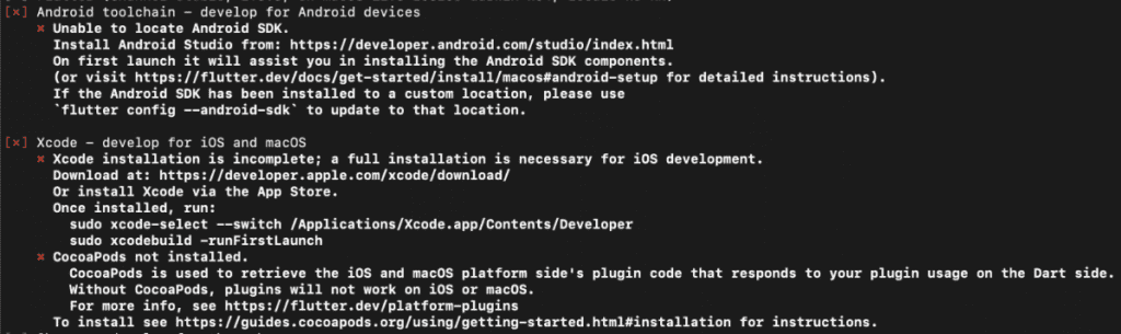 flutter-doctor